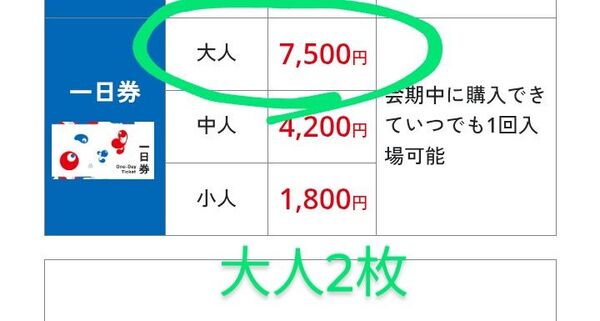 万博 チケット 1日券 大人 2名 ペア 大阪万博 入場券