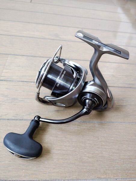 マグシールド除去 分解 DAIWA 25 カルディア CALDIA LT4000-CXH ベアリング 追加+4BB