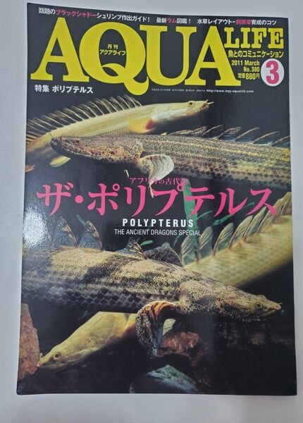 月刊アクアライフ No380 ポリプテルス
