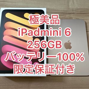 極美品 iPad mini 6世代 256GB 限定保証付き