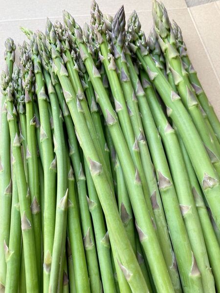 北海道産アスパラガス500g
