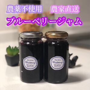 農薬不使用 農家のブルーベリージャム 2瓶