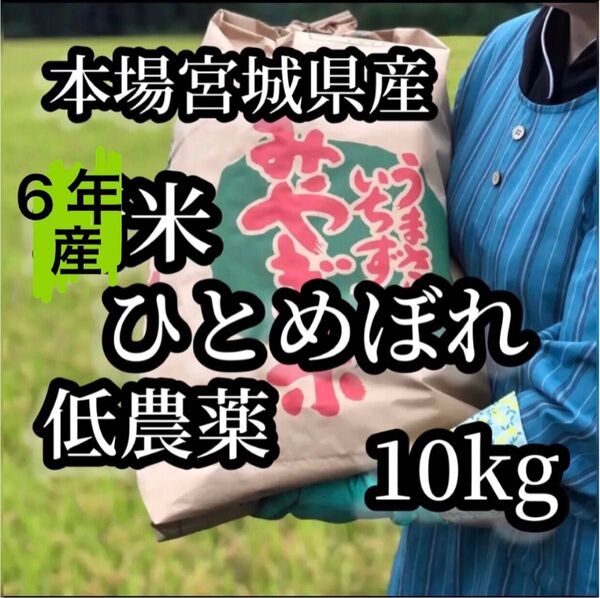 宮城県産 農家直送 低農薬 ひとめぼれ 玄米10kg