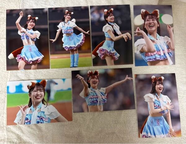 【7枚セット】北海道日本ハムファイターズ ファイターズガール エスコンフィールド限定衣装 スペシャルフォトセット