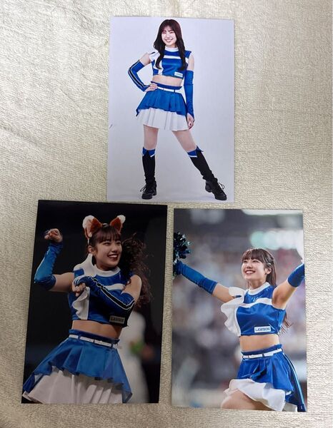 北海道日本ハムファイターズ ファイターズガール 中桐衣麻さん 限定フォト 3枚セット