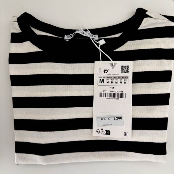 ZARA ザラ クロップドストレッチTシャツ ボーダーT
