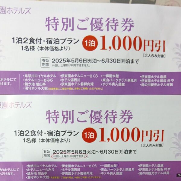 園ホテルズグループ共通割引券 2枚 1000円割引
