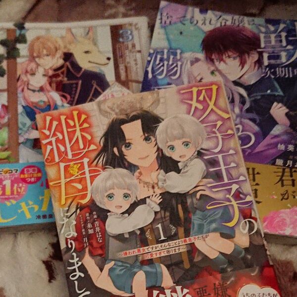 ベリーズファンタジー 新刊3冊/引きこもり令嬢は皇妃になんてなりたくない! 3 他