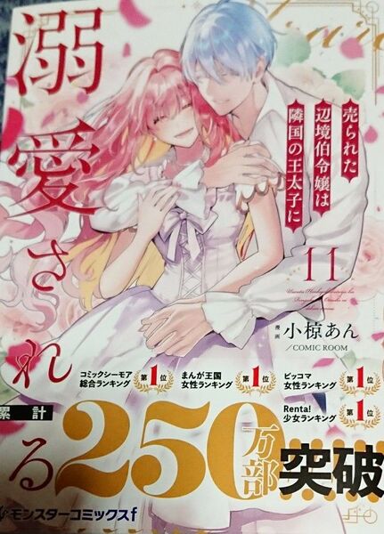 売られた辺境伯令嬢は隣国の王太子に溺愛される 11