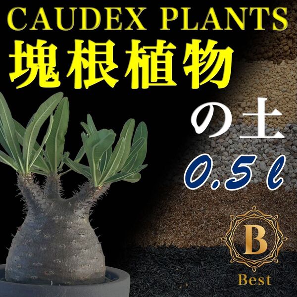 塊根植物の土 Best0.5㍑培養土 パキポディウム・アデニウム等 グラキリス