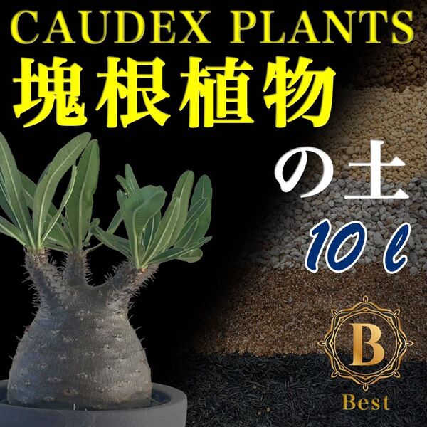 塊根植物の土 Best10㍑培養土 パキポディウム・アデニウム等 グラキリス