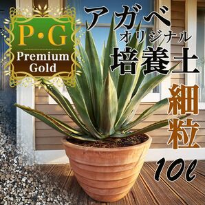 アガベ多肉植物の土☆オリジナル培養土Premium Gold細粒10㍑(アガベ多肉植物子株の土)