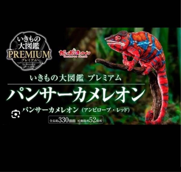 新品未開封 いきもの大図鑑プレミアム パンサーカメレオン アンビローブ・レッド