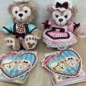 ダッフィー シェリーメイ ぬいぐるみバッジ ハートウォーミングデイズ 2個セット