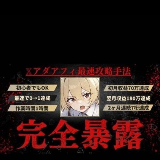 【定価39,800円】アダアフィ完全暴露