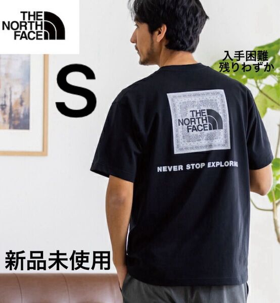 THE NORTH FACE ショートスリーブ バンダナロゴ スクエアロゴ Tシャツ ノースフェイス バックプリント 半袖
