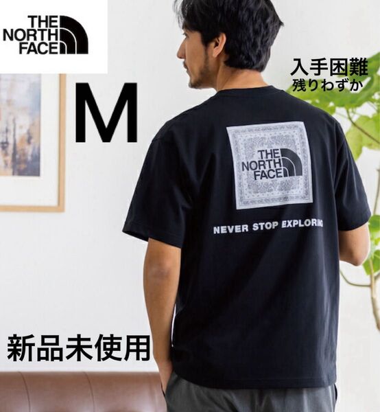 THE NORTH FACE ショートスリーブ バンダナロゴ スクエアロゴ Tシャツ ノースフェイス バックプリント 半袖