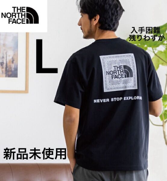 THE NORTH FACE ショートスリーブ バンダナロゴ スクエアロゴ Tシャツ ノースフェイス バックプリント 半袖