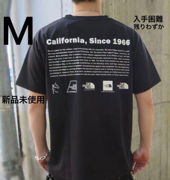 THE NORTH FACE ショートスリーブ ロゴ Tシャツ ノースフェイス バックプリント 半袖 大人気 ビンテージ オシャレ