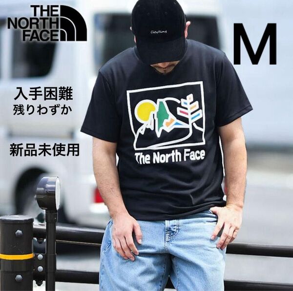 ザ ノースフェイス Tシャツ 半袖 THE NORTH FACE メンズ グラフィック Tee 新作 吸汗速乾 半袖 ロゴ