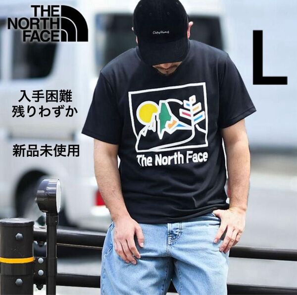 ザ ノースフェイス Tシャツ 半袖 THE NORTH FACE メンズ グラフィック Tee 新作 吸汗速乾 半袖 ロゴ