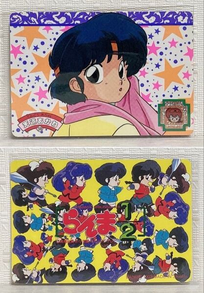 らんま1/2 トレーディングカード カードダス 天道あかね