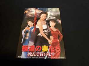 ■映画チラシ　高島礼子主演 「極道の妻たち　死んで貰います」