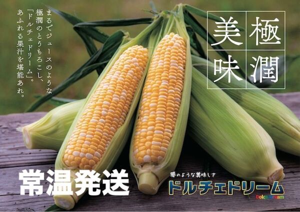 6/22発送、とうもろこし、ドルチェドリーム、A品10本