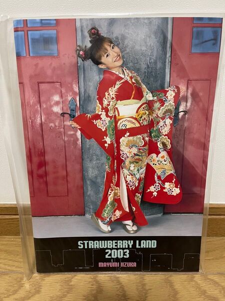 飯塚雅弓 2003年 冬 ツアーパンフレット