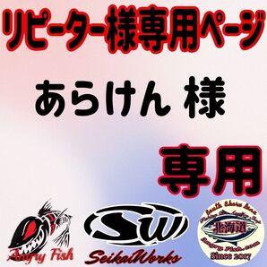 カッティングステッカー 15cm×9cm ステラSW シルバー