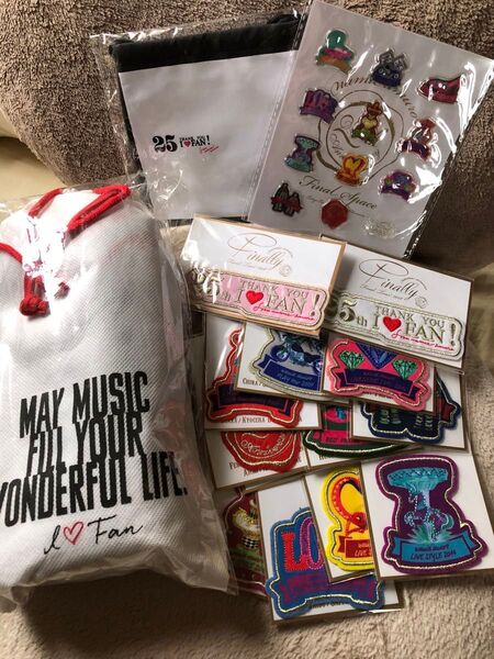安室奈美恵Finalspaceグッズ Finallyツアー会場限定ワッペンまとめ売り