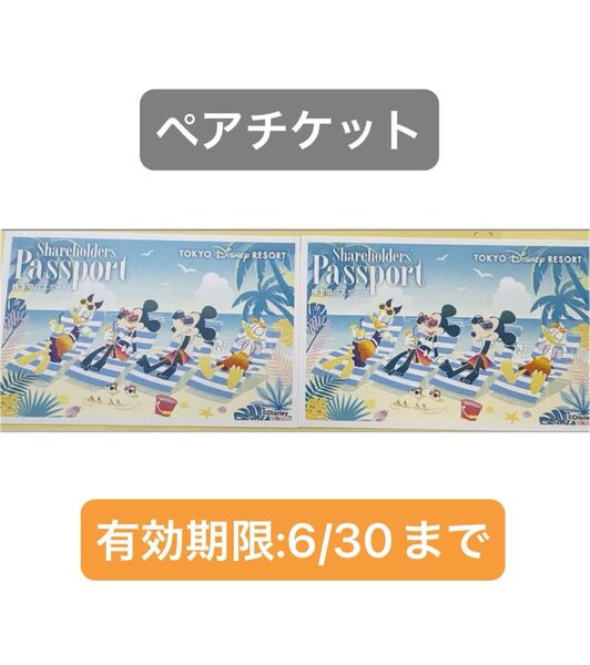 【2枚セット】東京ディズニーリゾート 株主用パスポート チケット