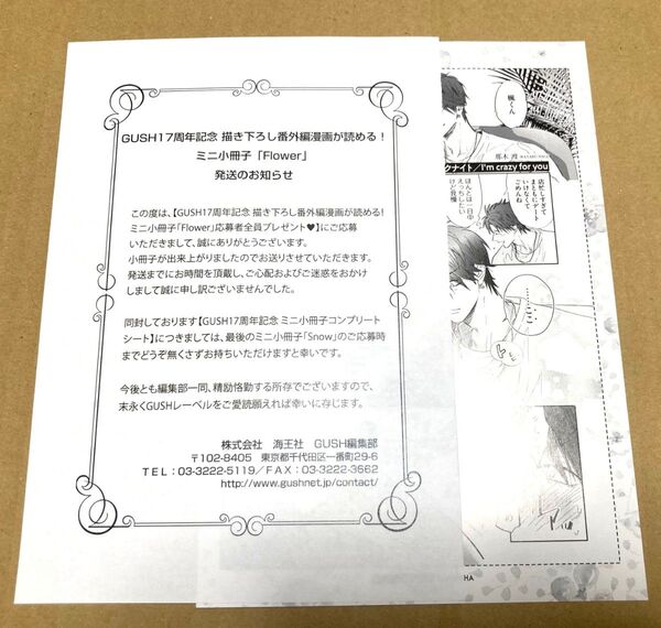◇GUSH17周年記念 ミニ小冊子 Flower