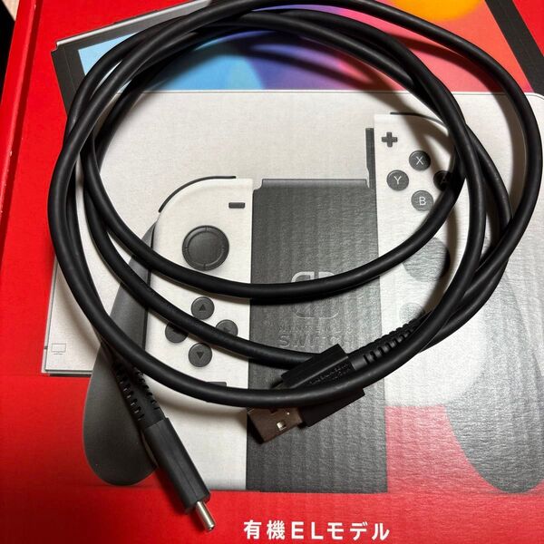 任天堂純正 USBケーブル
