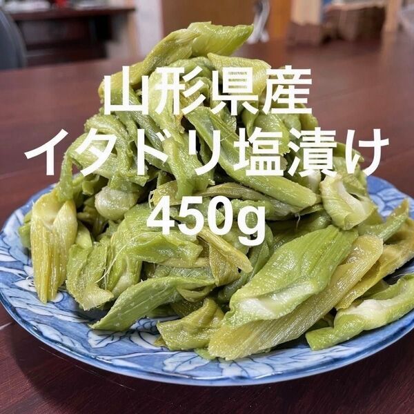山形県産 イタドリ塩漬け 450g 山菜 野菜 塩蔵