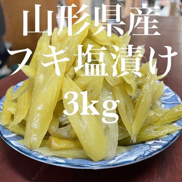 山形県産 フキ 塩漬け 3kg(1kg×3袋) 塩蔵 山ふき 蕗 山菜 野菜