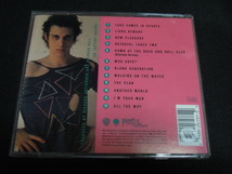 RICHARD HELL & THE VOIDOIDS / CD / BLANK GENERATION / リチャード・ヘル ブランク・ジェネレーション_画像2