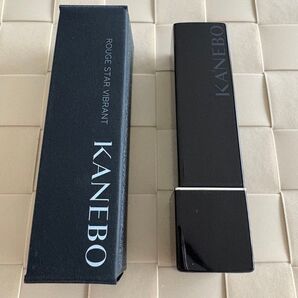 KANEBO ルージュスターヴィブラント V10
