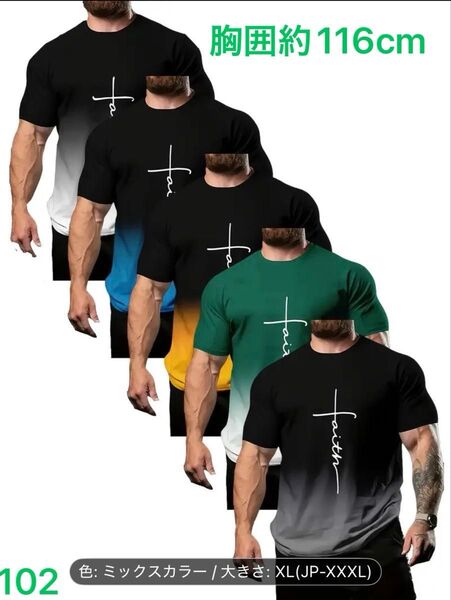 吸汗 Tシャツ 速乾性 通気性 カジュアルスポーツシャツ 5枚セット 半袖 ジム トレーニング グラデーションカラー