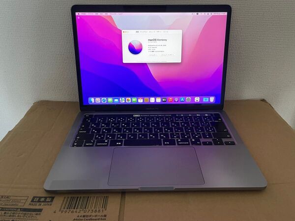 美品APPLE MacBook Pro M1 16GB SSD 512GB