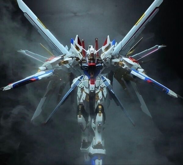 MGEX 1/100 ストライクフリーダムガンダム + プラウドディフェンダー2点セット