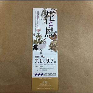 三井記念美術館 招待券1枚 花と鳥 美術の遊びとこころⅨ