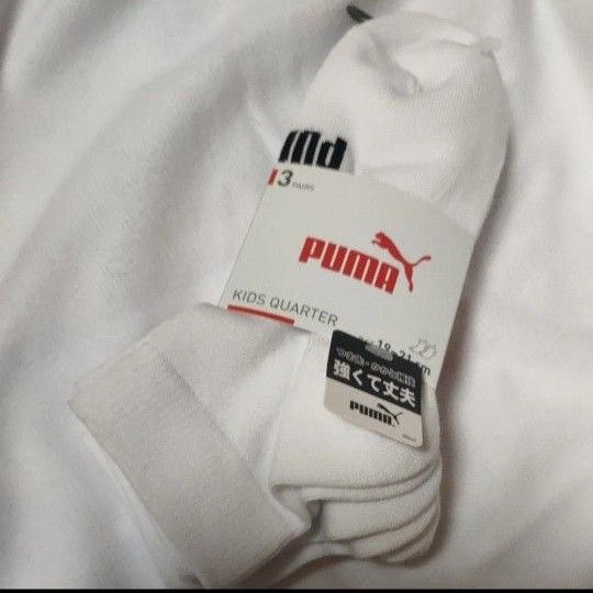 新品 靴下 ソックス プーマ puma キッズ 白 ホワイト 19〜21
