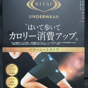 新品未開封グンゼRIZAPカロリー消費アップメンズLロングタイプボクサーブリーフRZ1290ライザップ