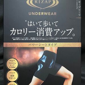 新品未開封グンゼRIZAPカロリー消費アップメンズLショートタイプボクサーブリーフRZ1280ライザップ
