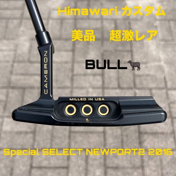 スペシャルセレクト ニューポート2 BULL Himawari カスタム品 美品