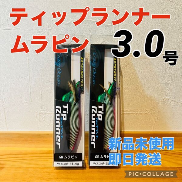 谷山商事限定 CrazyOcean ティップランナー 3.0号 GRムラピン 2個 3号 3.5号 ムラサキ パープル 紫