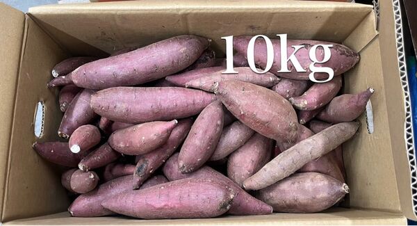 さつまいも 紅まさり 10kg 茨城県産