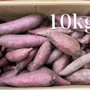 さつまいも 紅まさり 10kg 茨城県産