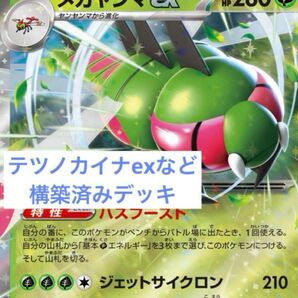 構築済みデッキ メガヤンマex テツノカイナex キチキギスexなど デッキ60枚 ポケモンカード